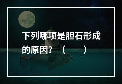 下列哪项是胆石形成的原因？（　　）