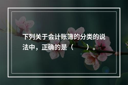 下列关于会计账簿的分类的说法中，正确的是（　　）。