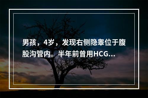 男孩，4岁，发现右侧隐睾位于腹股沟管内。半年前曾用HCG治疗