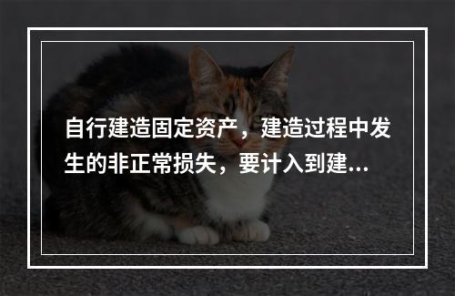 自行建造固定资产，建造过程中发生的非正常损失，要计入到建造成