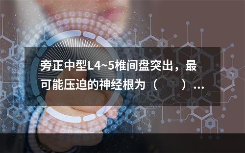 旁正中型L4~5椎间盘突出，最可能压迫的神经根为（　　）。