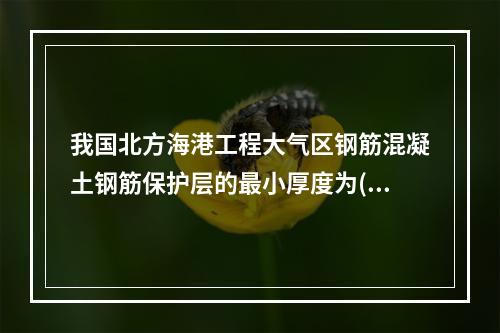 我国北方海港工程大气区钢筋混凝土钢筋保护层的最小厚度为()。