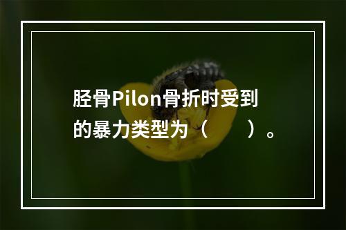 胫骨Pilon骨折时受到的暴力类型为（　　）。