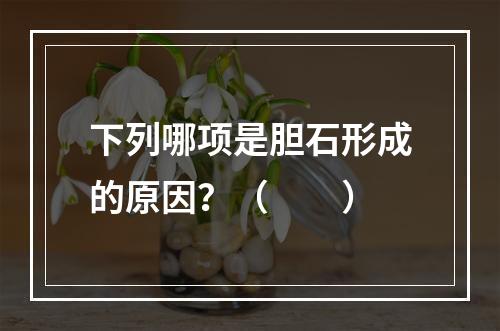 下列哪项是胆石形成的原因？（　　）