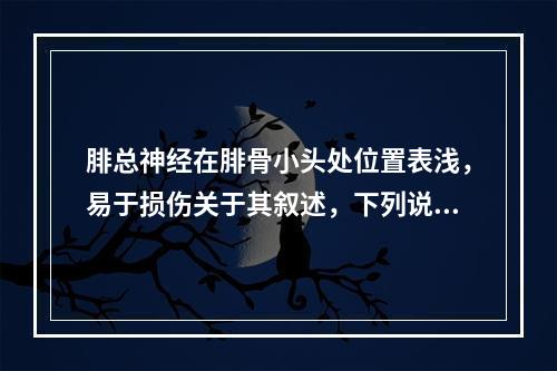 腓总神经在腓骨小头处位置表浅，易于损伤关于其叙述，下列说法不