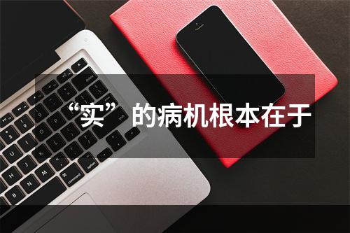 “实”的病机根本在于