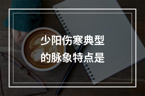 少阳伤寒典型的脉象特点是