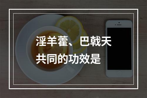 淫羊藿、巴戟天共同的功效是