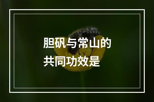 胆矾与常山的共同功效是