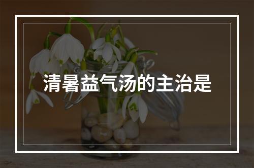 清暑益气汤的主治是