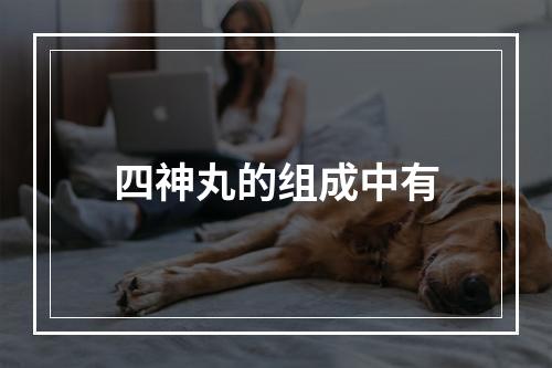 四神丸的组成中有