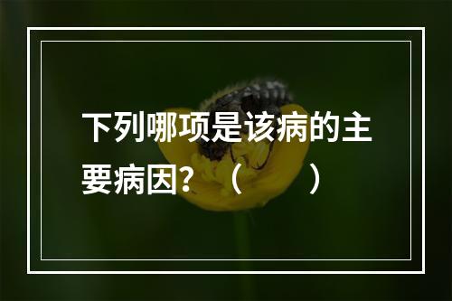 下列哪项是该病的主要病因？（　　）