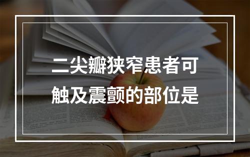 二尖瓣狭窄患者可触及震颤的部位是