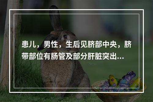 患儿，男性，生后见脐部中央，脐带部位有肠管及部分肝脏突出于腹