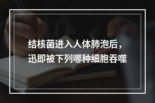 结核菌进入人体肺泡后，迅即被下列哪种细胞吞噬