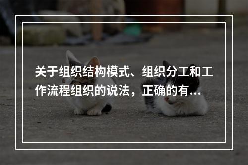 关于组织结构模式、组织分工和工作流程组织的说法，正确的有（　