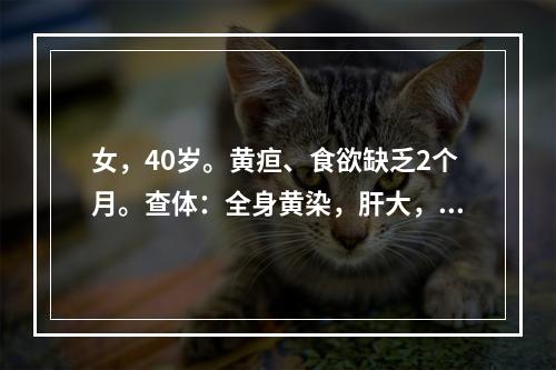 女，40岁。黄疸、食欲缺乏2个月。查体：全身黄染，肝大，胆囊