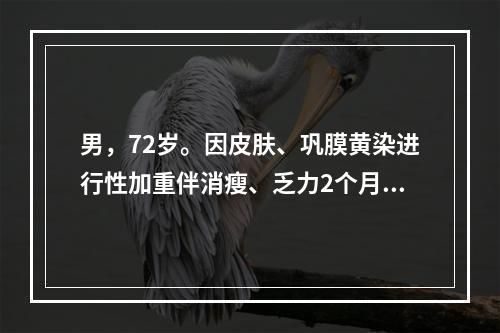 男，72岁。因皮肤、巩膜黄染进行性加重伴消瘦、乏力2个月入院