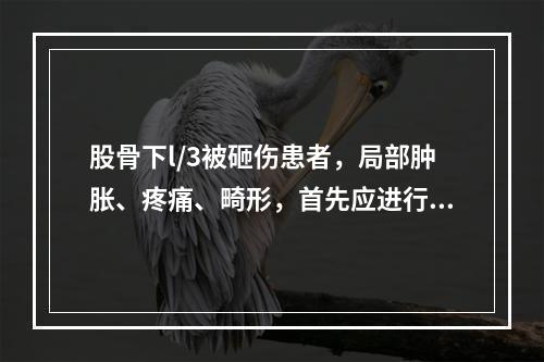 股骨下l/3被砸伤患者，局部肿胀、疼痛、畸形，首先应进行的检