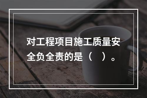 对工程项目施工质量安全负全责的是（　）。