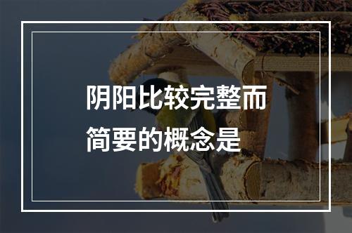 阴阳比较完整而简要的概念是