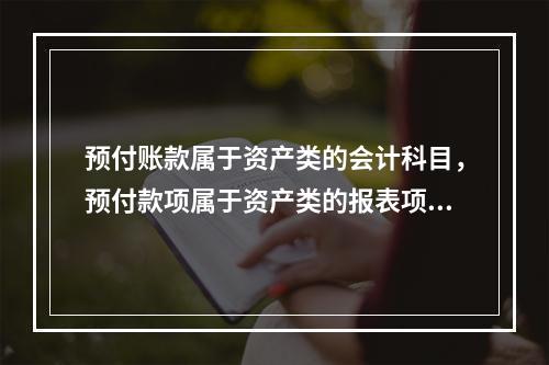 预付账款属于资产类的会计科目，预付款项属于资产类的报表项目。