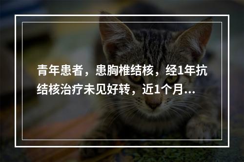 青年患者，患胸椎结核，经1年抗结核治疗未见好转，近1个月有截