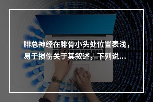 腓总神经在腓骨小头处位置表浅，易于损伤关于其叙述，下列说法不