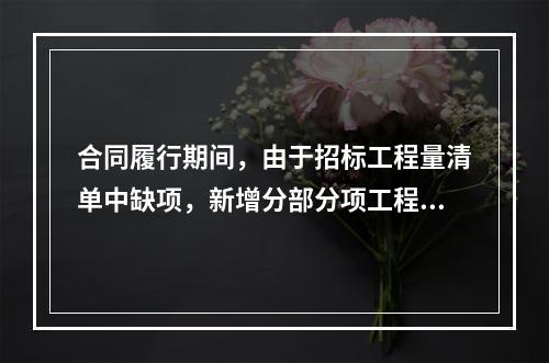 合同履行期间，由于招标工程量清单中缺项，新增分部分项工程清单