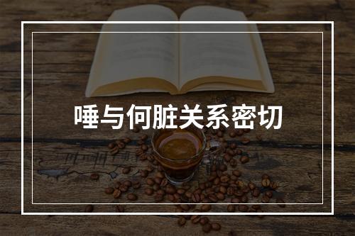 唾与何脏关系密切