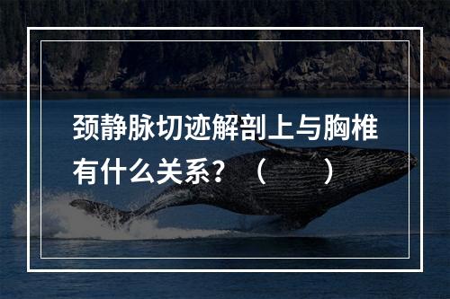 颈静脉切迹解剖上与胸椎有什么关系？（　　）