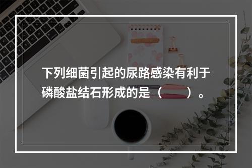 下列细菌引起的尿路感染有利于磷酸盐结石形成的是（　　）。