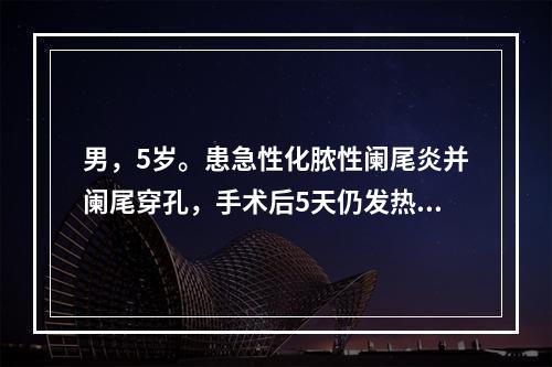 男，5岁。患急性化脓性阑尾炎并阑尾穿孔，手术后5天仍发热、腹