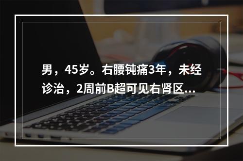 男，45岁。右腰钝痛3年，未经诊治，2周前B超可见右肾区有鹿