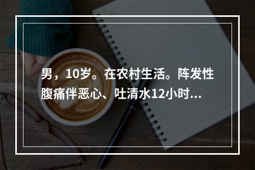 男，10岁。在农村生活。阵发性腹痛伴恶心、吐清水12小时来院