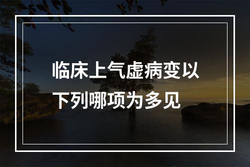 临床上气虚病变以下列哪项为多见