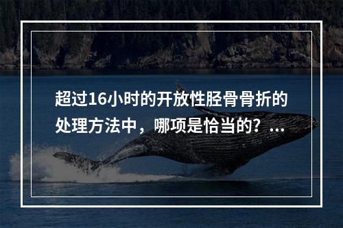 超过16小时的开放性胫骨骨折的处理方法中，哪项是恰当的？（　