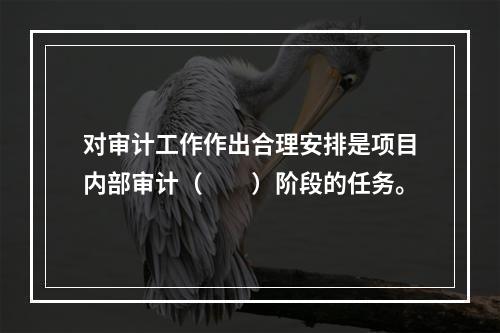 对审计工作作出合理安排是项目内部审计（　　）阶段的任务。