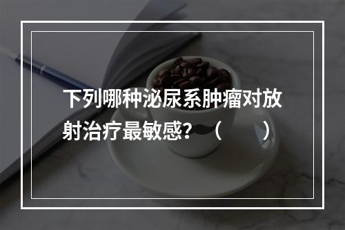 下列哪种泌尿系肿瘤对放射治疗最敏感？（　　）