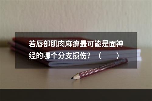 若唇部肌肉麻痹最可能是面神经的哪个分支损伤？（　　）