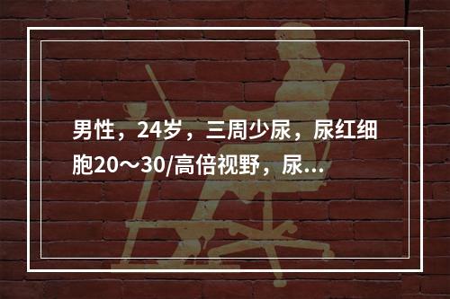 男性，24岁，三周少尿，尿红细胞20～30/高倍视野，尿蛋白