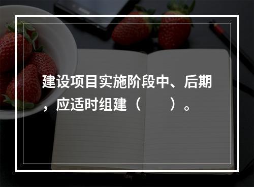 建设项目实施阶段中、后期，应适时组建（　　）。