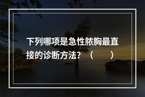 下列哪项是急性脓胸最直接的诊断方法？（　　）