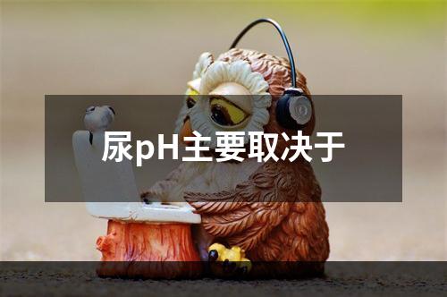 尿pH主要取决于