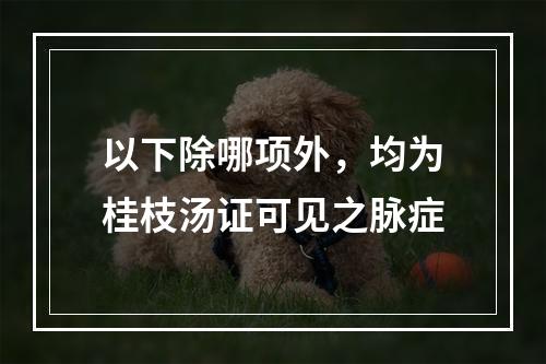 以下除哪项外，均为桂枝汤证可见之脉症