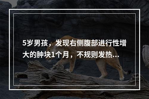 5岁男孩，发现右侧腹部进行性增大的肿块1个月，不规则发热、乏