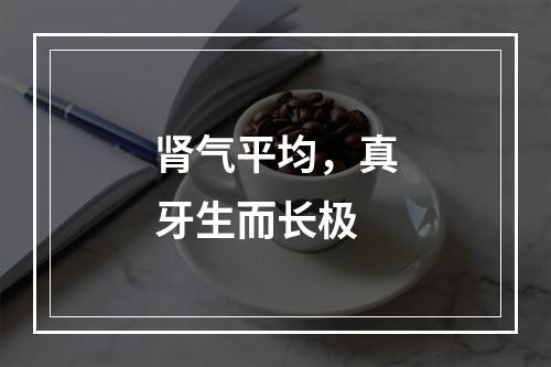 肾气平均，真牙生而长极