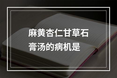 麻黄杏仁甘草石膏汤的病机是