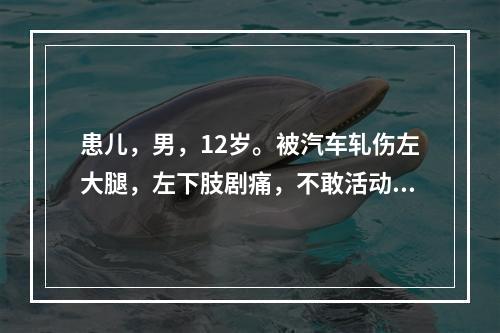 患儿，男，12岁。被汽车轧伤左大腿，左下肢剧痛，不敢活动。查