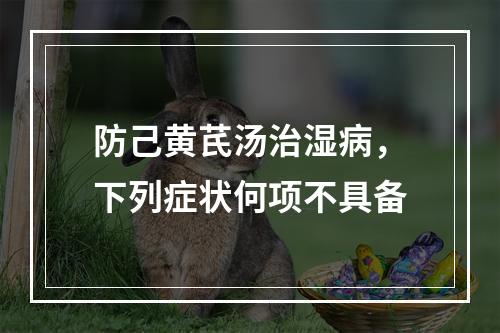 防己黄芪汤治湿病，下列症状何项不具备